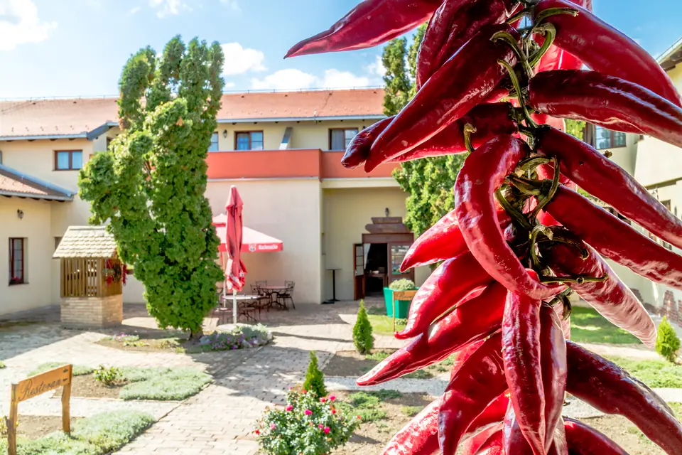 Čardak s paprikom · Fotografija 3