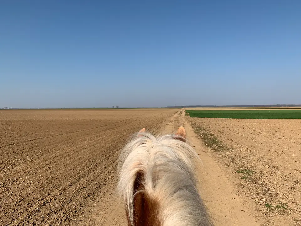 Baranja kroz godišnja doba · 8