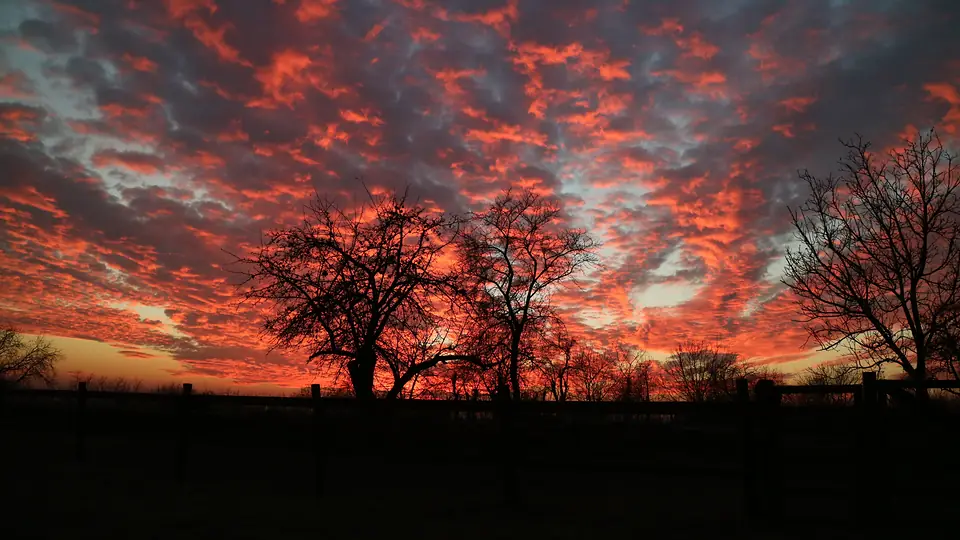 Baranja kroz godišnja doba · 9