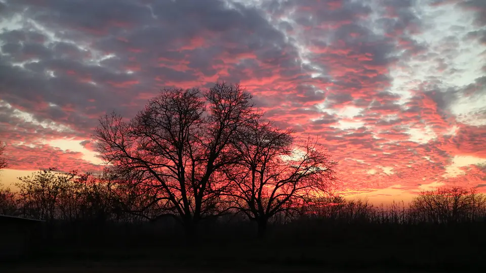 Baranja kroz godišnja doba · 10