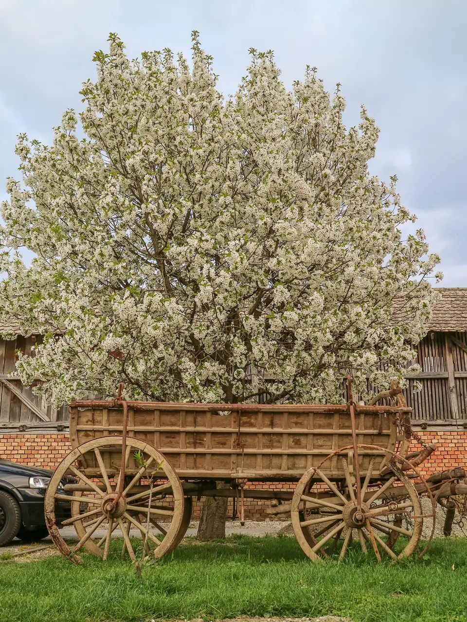 Baranja kroz godišnja doba · 6