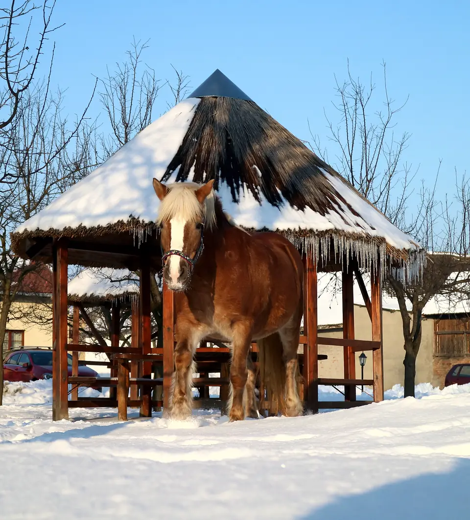 Četiri godišnja doba · 6